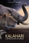 El Kalahari, la otra ley de la selva