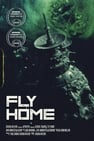 Fly Home