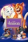 Katės aristokratės