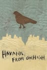 Havana, From On High