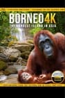 Borneo 4K: The Largest Island in Asia