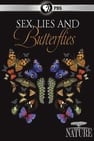 Sexo, mentiras y mariposas