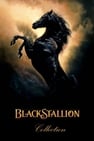 The Black Stallion Collection