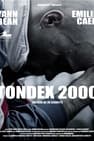 TONDEX 2000