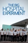 The Big Hospital Experiment