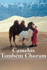 A História de um Camelo que Chora
