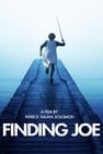 Finding Joe