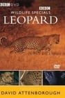 Leopard: The Agent of Darkness