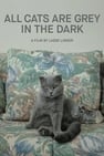 All Cats Are Grey in the Dark