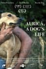 Aurica, a Dog's Life