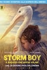 Storm Boy - Il ragazzo che sapeva volare