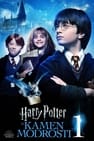 Harry Potter in kamen modrosti