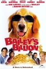 Bailey Um cão que vale Milhões