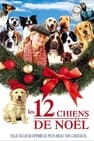 The 12 Dogs of Christmas