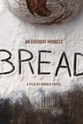 Bread: An Everyday Miracle