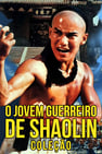 The Young Hero of Shaolin Collection