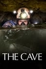 Csoda a barlangban