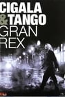 Cigala & Tango - Gran Rex