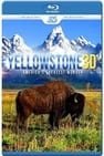Yellowstone 3D
