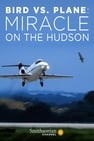 Bird vs. Plane: Miracle on the Hudson