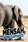 Mensah, reine éléphante
