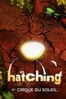 Circo del Sol: Hatching