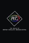 Square Peg: the Dream of British Satellite Broadcasting