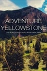 Le Parc Naturel de Yellowstone - Une Merveille Naturelle