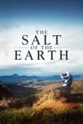 Das Salz der Erde