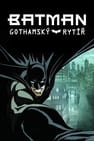 Batman: Gothamský rytíř