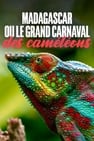 Madagascar ou le grand carnaval des caméléons