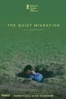 The Quiet Migration
