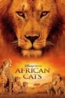 חתולים אפריקאים