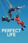 Perfect Life (Vida Perfecta)