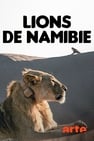 Lions de Namibie, un nouveau départ