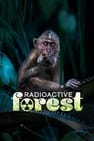 Radioactive Forest