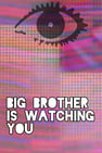 Big Brother Rebooted