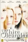 White Oleander - Oleandro bianco