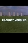 Hackney Marshes