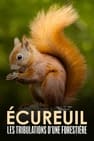 Écureuil : Les Tribulations d'une forestière
