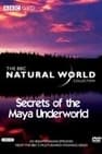 Secrets Of The Maya Underworld