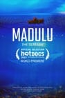 Madulu, the Seaman