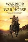 Warrior: The Real War Horse