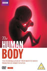 גוף האדם