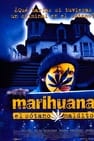 Marihuana: El sótano maldito