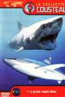 La Collection Cousteau N° 1-1 | Le Grand Requin Blanc