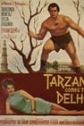 Tarzan Comes to Delhi