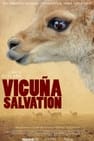 Vicuña Salvation