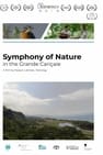 Symphonie de la nature dans la Grande Cariçaie